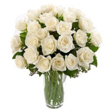 Charming White or Creamy Roses with a Vase